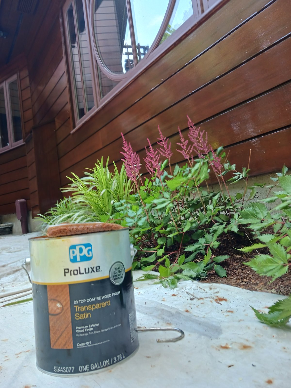 Exterior Wood Siding Stain Varnish Transparent Satin — Frank Leonard Painting LLC